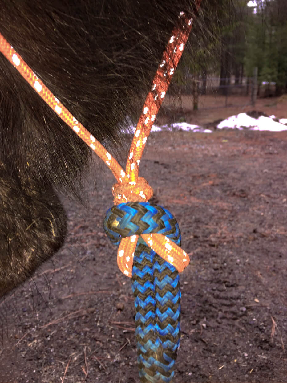 How to Attach a Lead Rope to a Halter Six Options for Safety and Convenience Horse Keeping