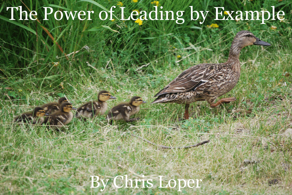 The Power of Leading by Example Northwest Educational Services