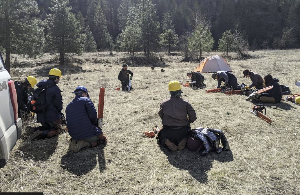 Our women’s specific crew all received their USFS chainsaw certifications.
