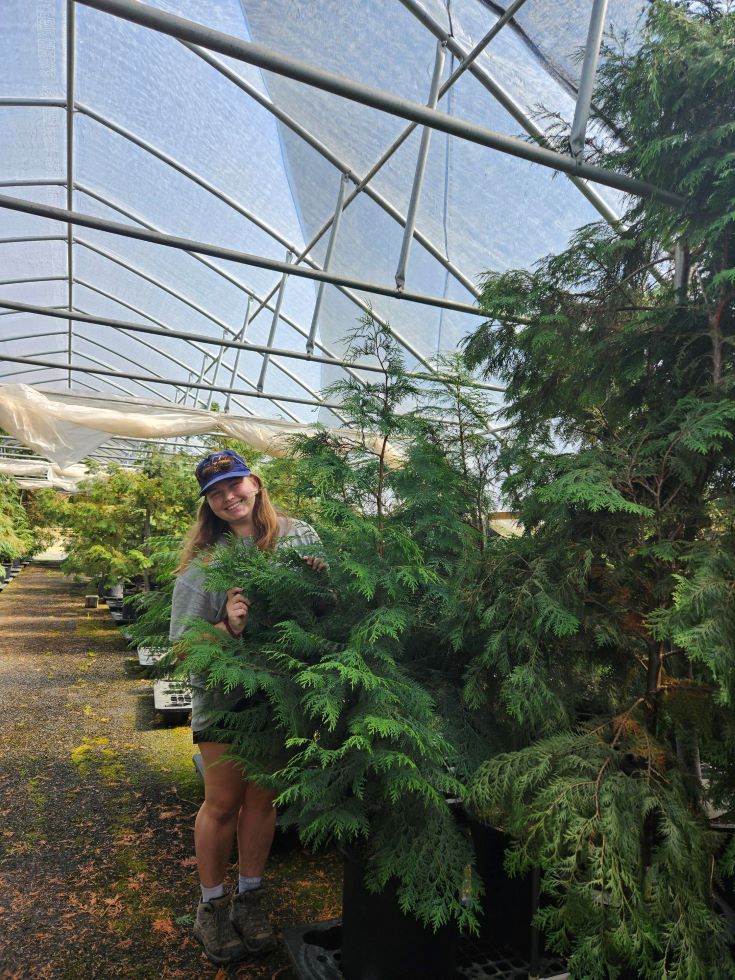Mackenzie W.: Mackenzie pictured here amongst the Port Orford Cedars that she has cultivated. This day, Mackenzie led the NYC internship program coordinator, Abi Snow, on a tour of the Dorena Genetic Resource Center in Cottage Grove, OR to kick off the internship departments annual site visits (US Forest Service Resource Assistant Breeding Specialist.)