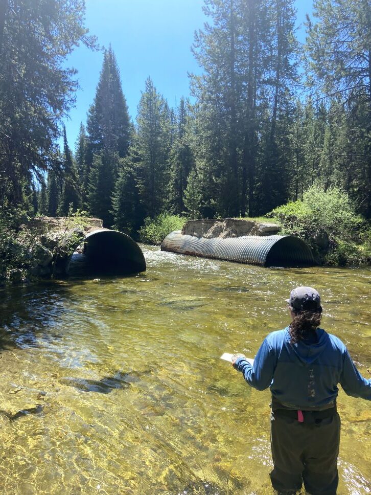 Ruby W. - Setting thermo gauges on a creek where a flood took out the road
