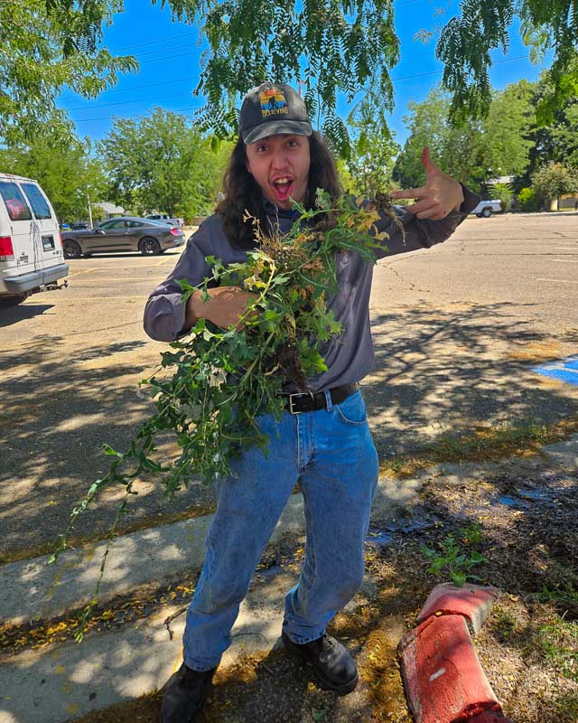 Pruned branch at C of I 2