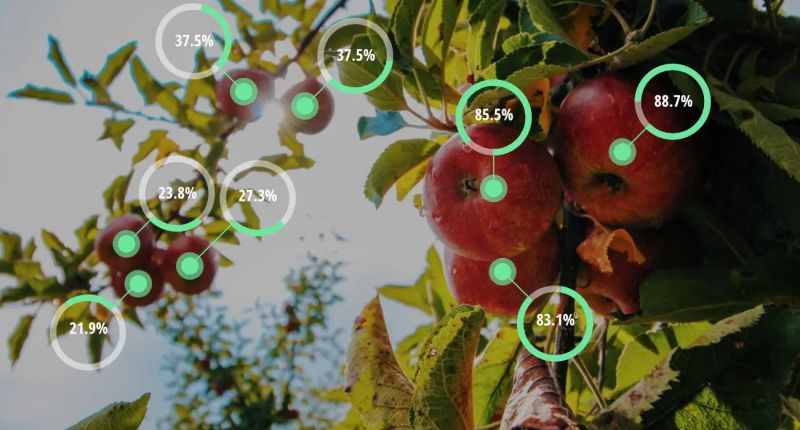 Comparison Of Image Classification Object Detection Instance And - Space Photos - Creative Desktop Collection