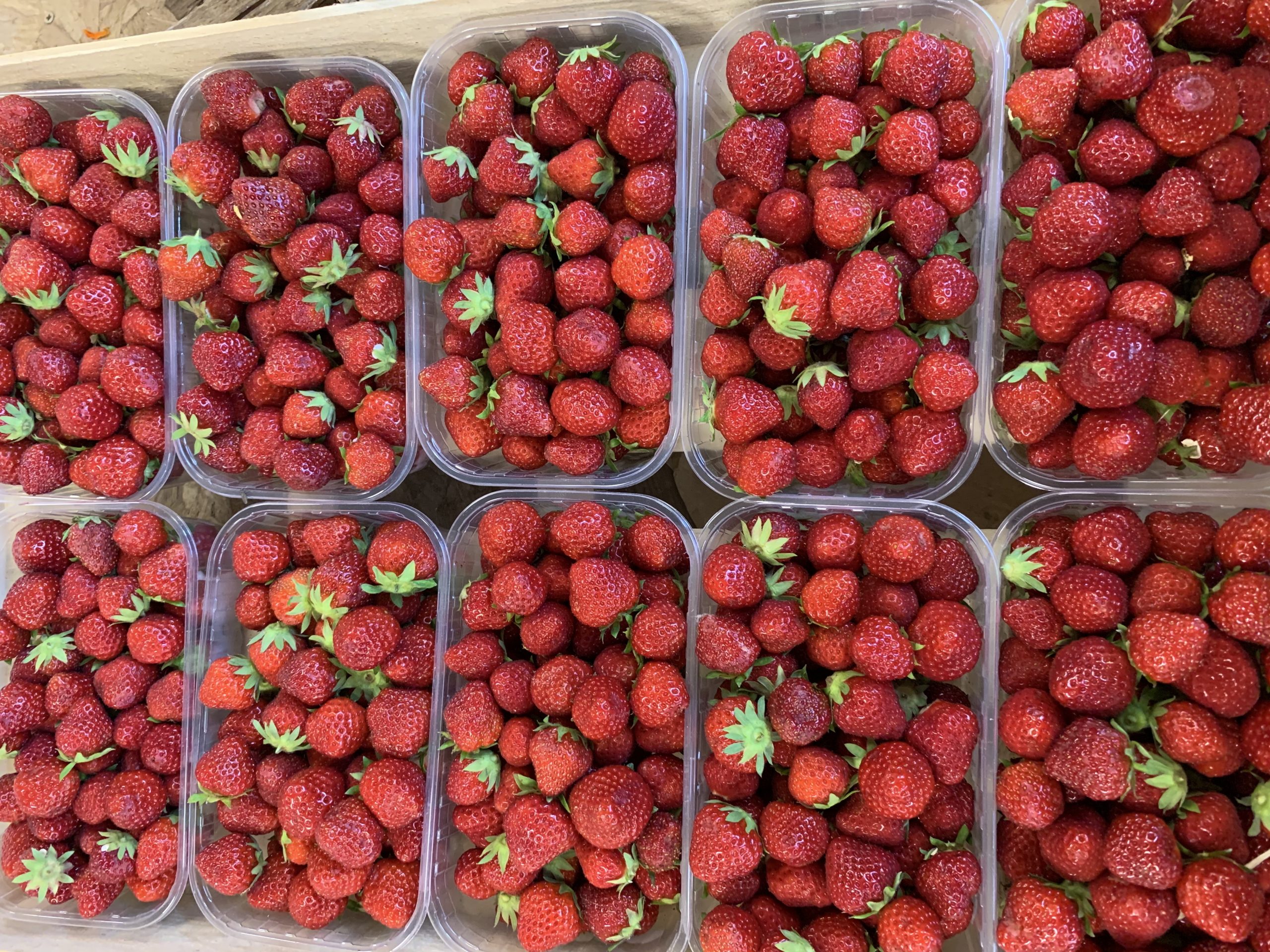 Fraises