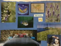 Image of Oakleaf client's bedroom wall collage