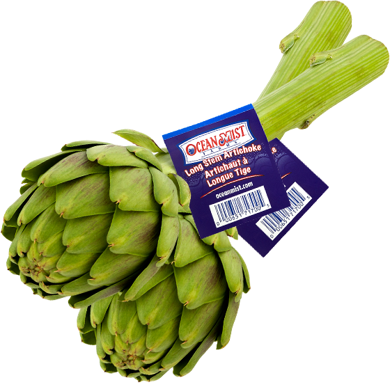 Long-Stem Artichoke