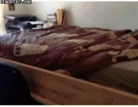 Life Hack bed office