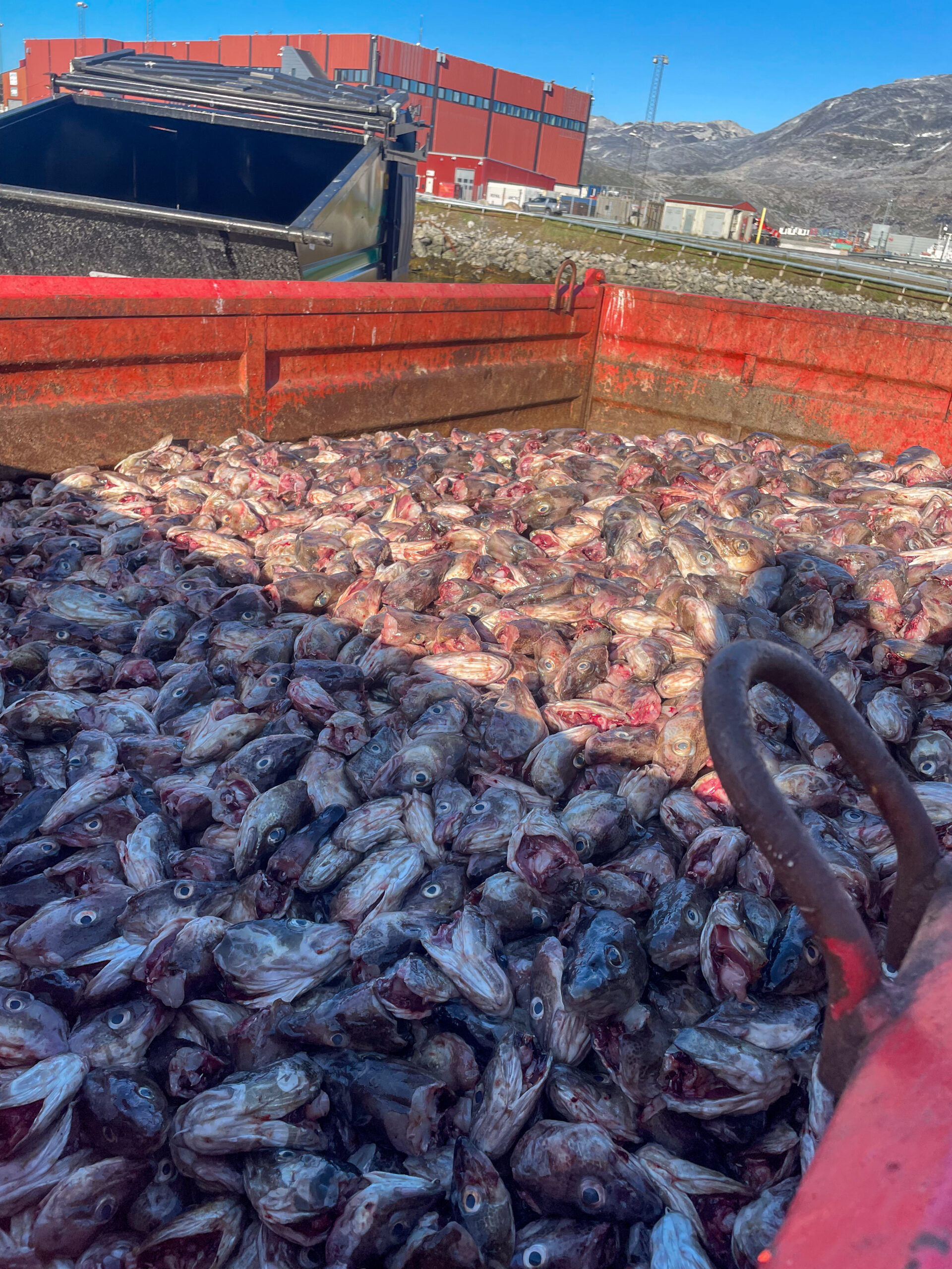 Offside på reportageresa i Nuuk på Grönland
