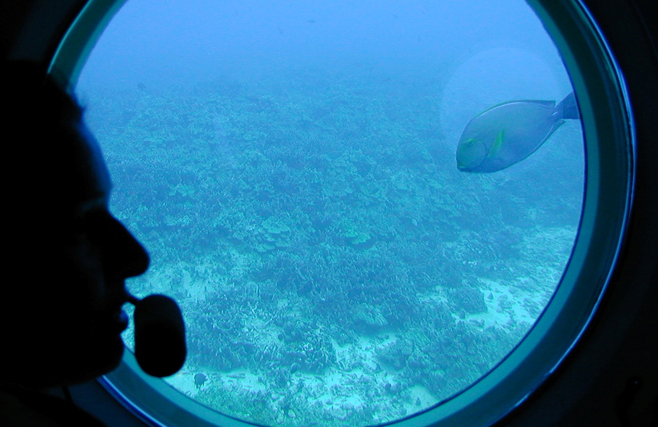 A special added bonus of this tour experience is also seeing the kona coastline while riding our shuttle boat. Atlantis Submarine Adventure Kona Big Island Atlantis Submarine Tour