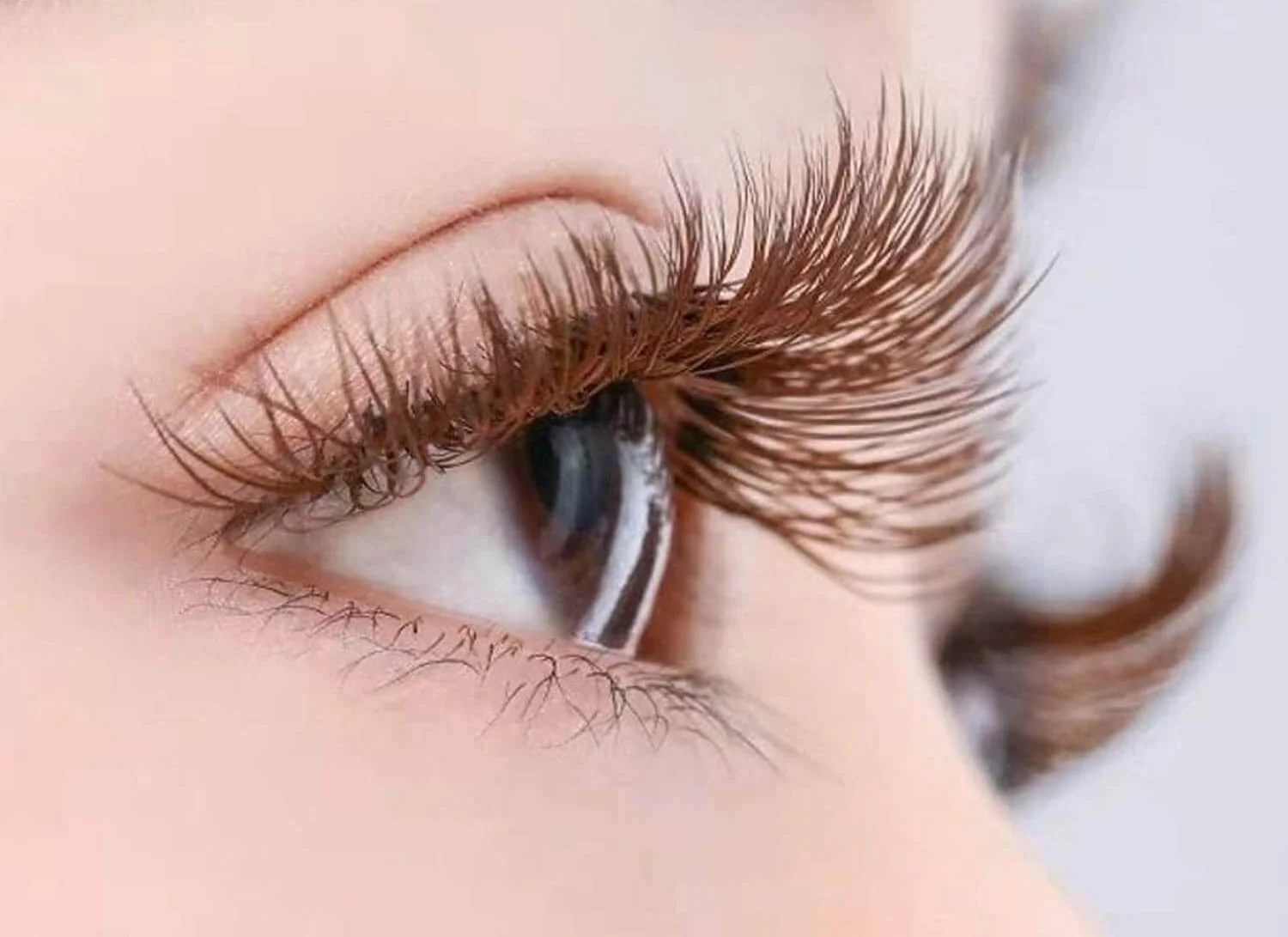 What are the different types of false eyelashes: a quick guide