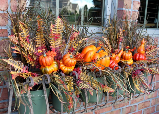 Whether you start with just one or choose a whole garden full of these special plants made for your window boxes, you are sure to be elated with the results. Create A Fall Window Box Oh My Creative