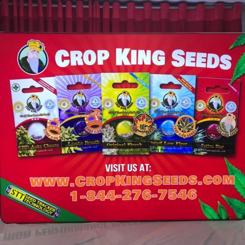 LED-Backdrop LED Display for Tradeshows