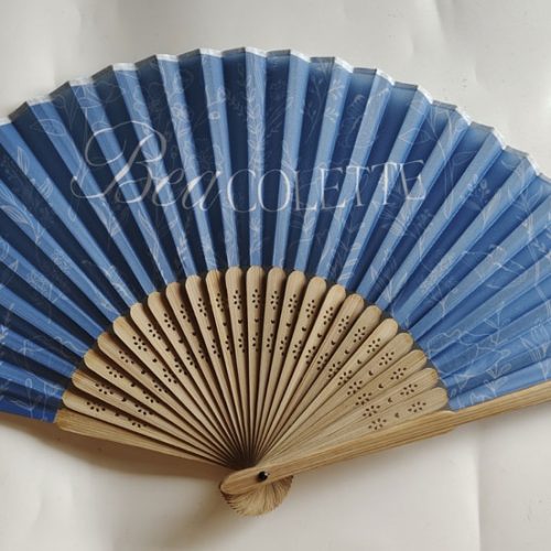 Fan-with-Tea-Ribs