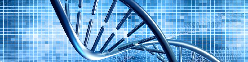 The Difference Between Biostatistics And Bioinformatics Biostatistics Ca - Best Geometric Arts in Desktop