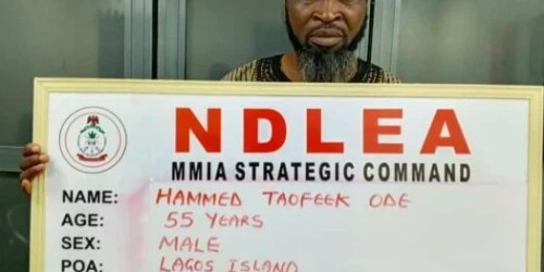 NDLEA Dismantles Cocaine Cartels Behind UK Shipments, Arrests Kingpin and Five Others