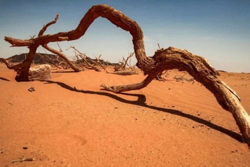 من صحراء مهملة إلى كنز إستراتيجي.. ماذا يحدث في السودان؟