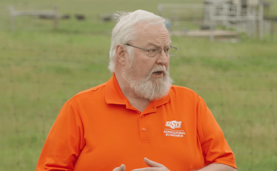 Cattle Market Update: Summer Pullback or Historic Run? (2026)
