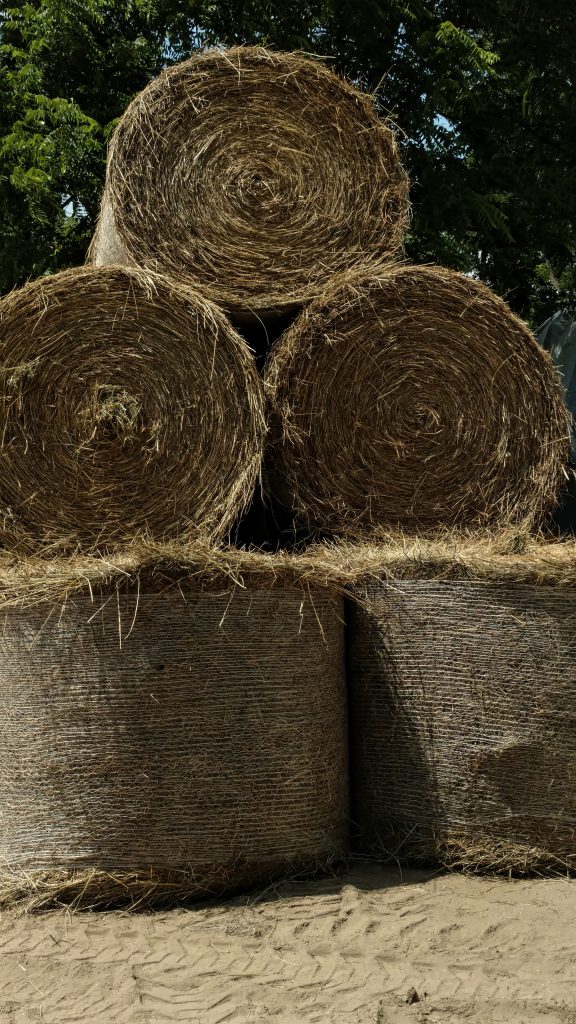2016 hay stack
