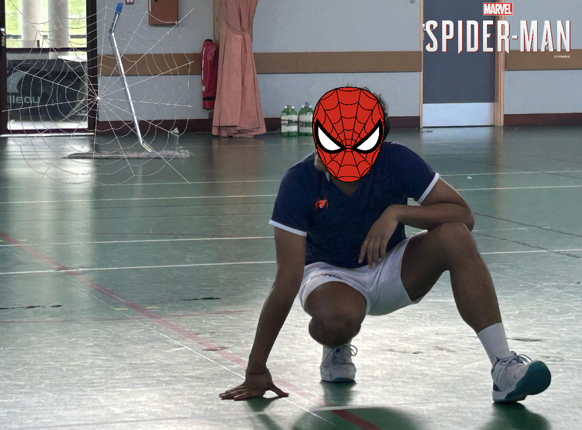 <?php echo pulse_output(); ?>