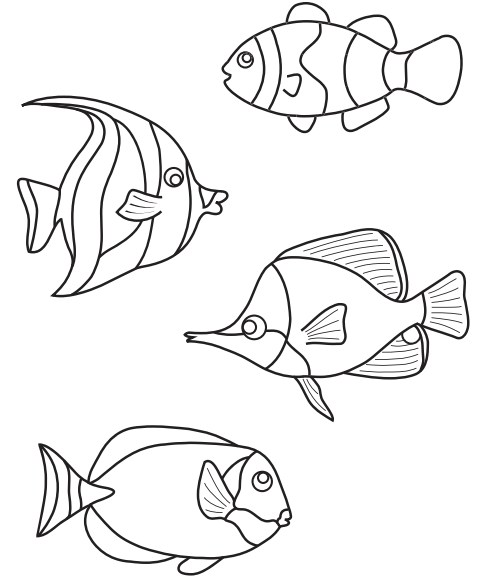 Deniz hayvanları boyama · kabuklar, bir denizyıldızı ve bir balık boyama · kabuklar, bir denizyıldızı ve bir balık · bir beluga boyama. deniz altıı..) bütün deniz altı hayvanları,mercanlar ...