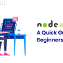 A Quick Guide Of Node.js For Beginners In 2025