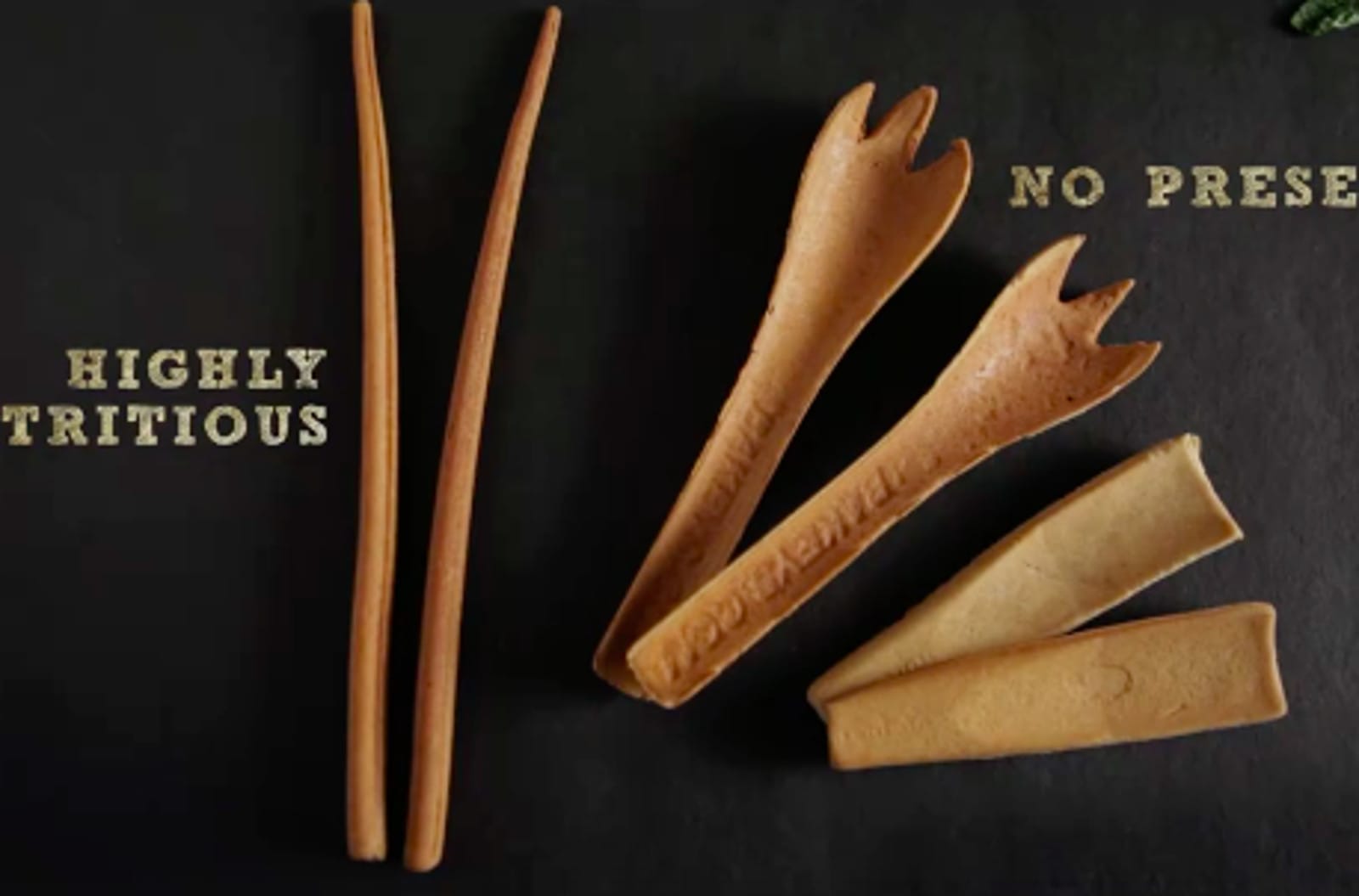 Disposable Plastics Are Killing the Oceans So This Brilliant Man