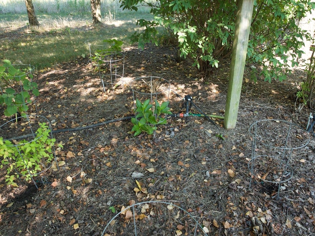 how-to-put-your-garden-to-bed-for-the-winter-flipboard