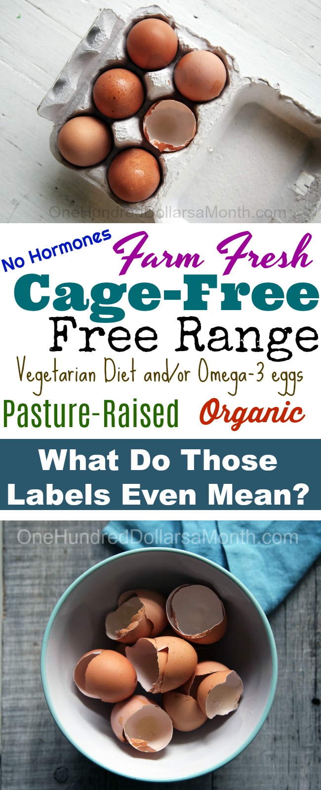 Buying Eggs From the Grocery Store What Do the Labels Even Mean? One Hundred Dollars a Month