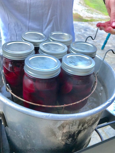 Pickled Beets Recipe No Sugar - Download This Easy Recipe Videos Pickled Beets Recipe No Sugar - Download This Easy Recipe Videos