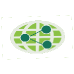 online S3 Method: RIS3 Vision Sharing