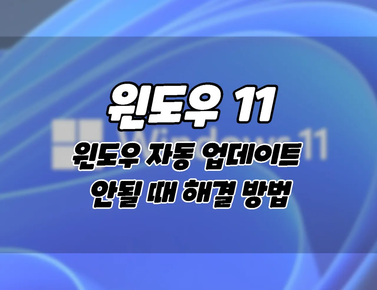 windows 11 windows auto update not when solution how