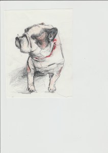 Illustration from Etta Betta and the Beast