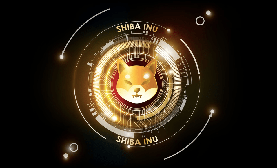 Shiba-Inu-Toads Shiba Inu Toads