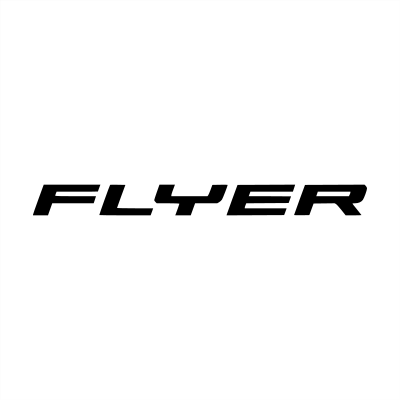 Flyer company logo