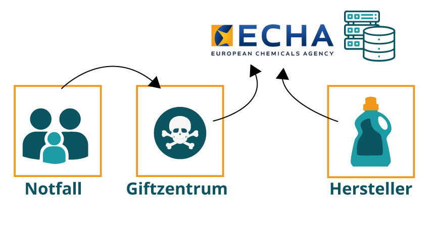 Infografik zeigt wie die Daten vom Hersteller bei der ECHA gespeichert werden und nur von Giftinformationszentren gelesen werden können.