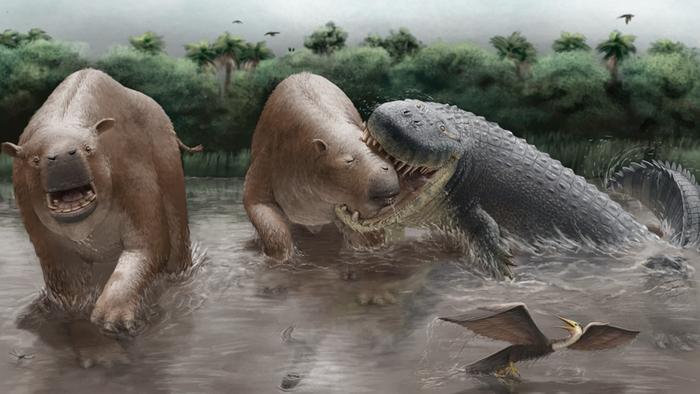 Giant Crocs Ruled Miocene South America: Apex Predators Revealed! (2026)
