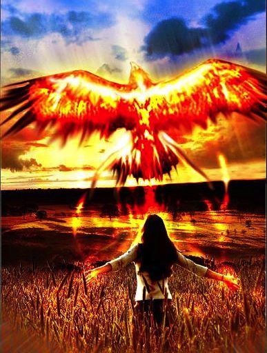 Phoenix Rising Hands Open Hand Foundation – Mastery of the Expanded Self – 11-18-14 – Higher ...