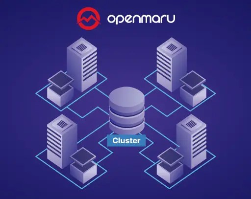 더 나은 세션 관리를 위한 클러스터링 방법 – 오픈마루 클러스터