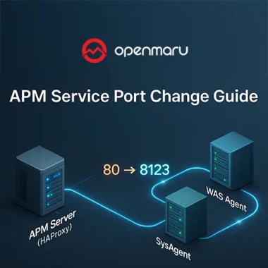 APM 서비스 포트 변경 방법 가이드
