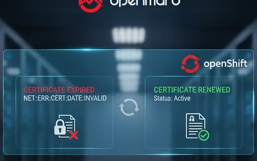 OpenShift Ingress 인증서 갱신 방법