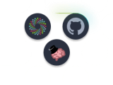 Open Source Brain