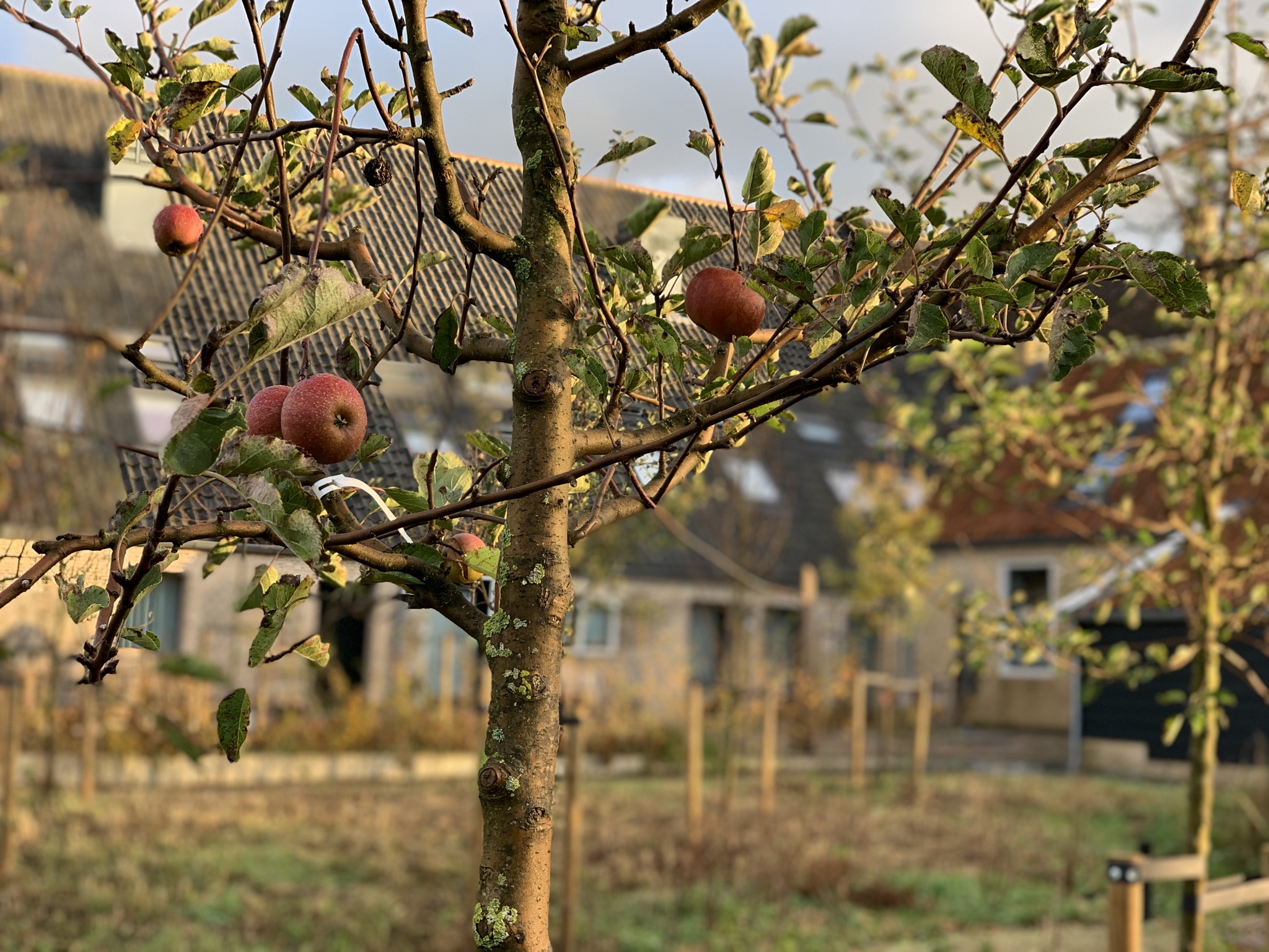 Ruimteverhuur in Poortugaal - Activiteiten in de buitenlucht