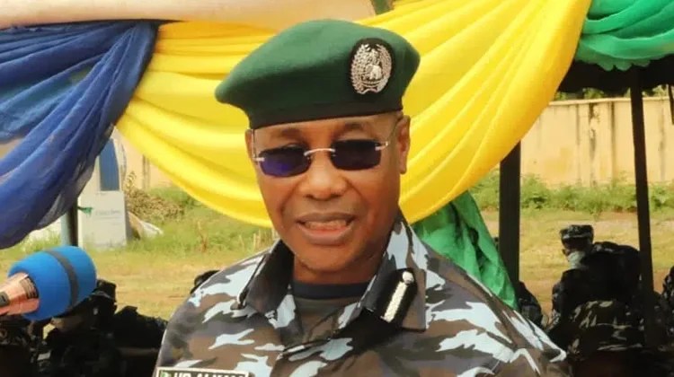 Who Is Afraid Of The Successes Of IGP Alkali? -By Adewole Kehinde - Vimarsana News