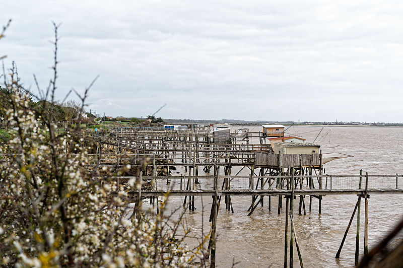 carrelets