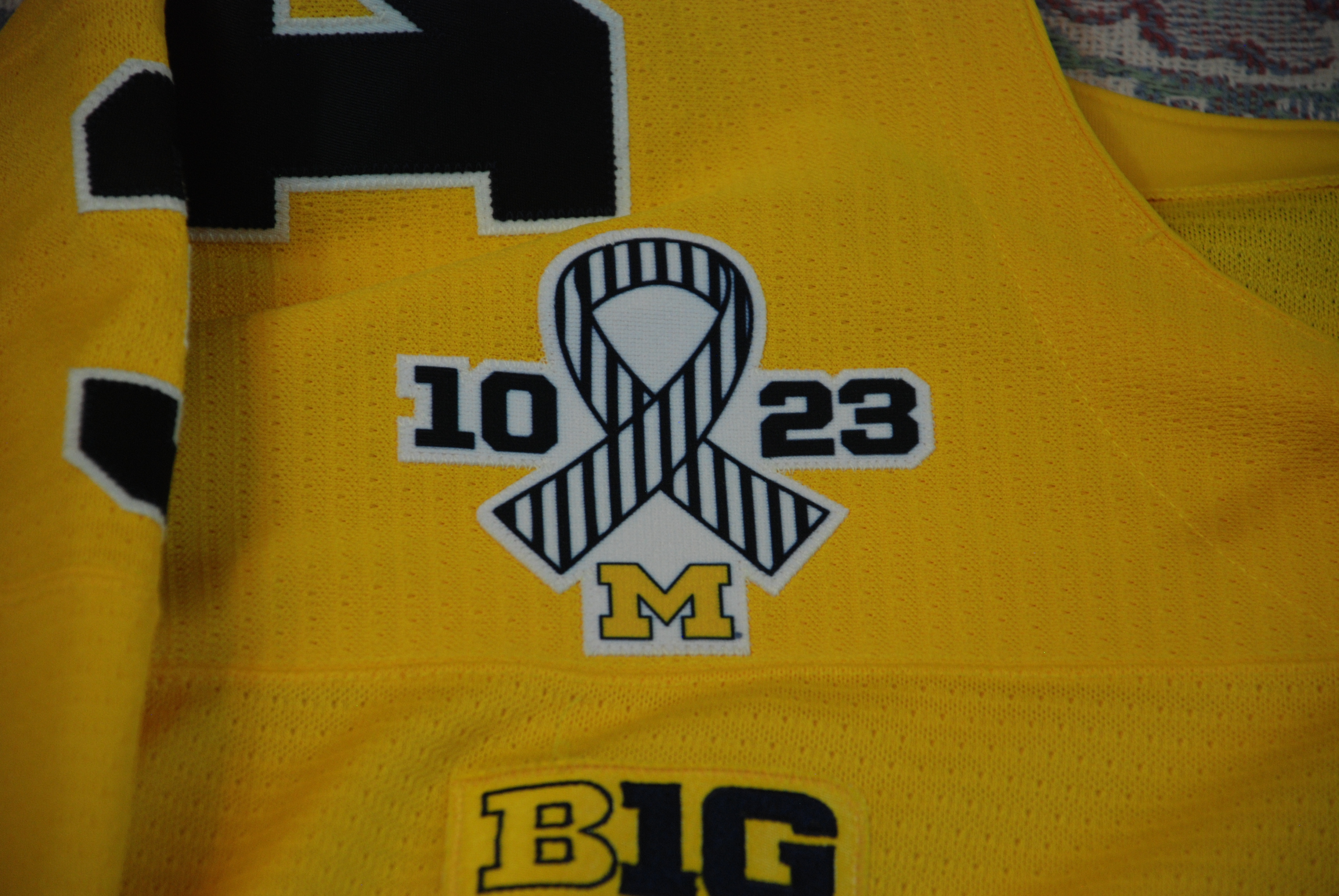 2016/17 ALS patch worn on October 23, 2016