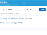 Learning Your Way Around The Oracle Developer Cloud Service User Interface