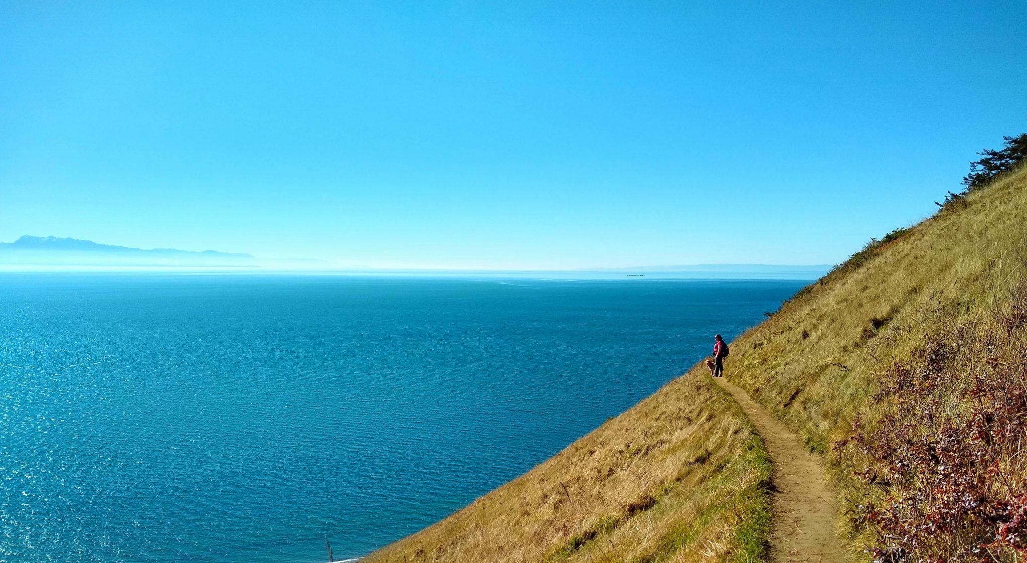 ebey-s-landing-loop-hike-on-whidbey-island-ordinary-adventures