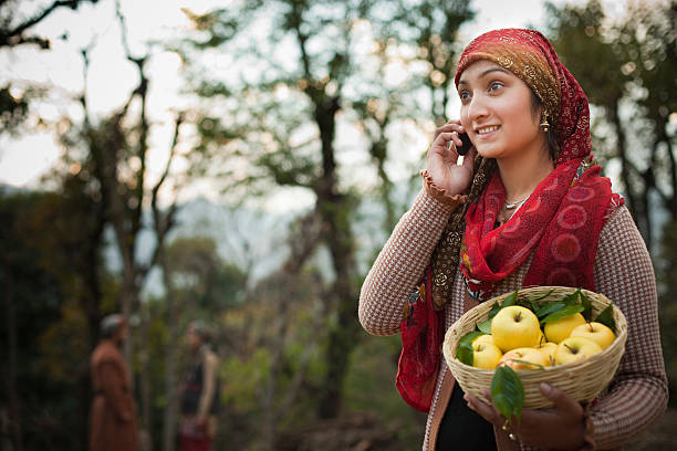People of Himachal Pradesh: Beautiful young woman using mobile phone in rural area she is holding a basket full of freshly picked golden apple from orchard and in the scene two people are also standing and talking to each other in the background, all people in the image are in traditional dress of Himachal Pradesh, India.