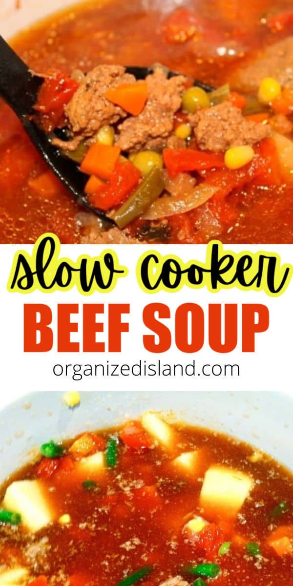 Slow cooker beef vegetable soup
