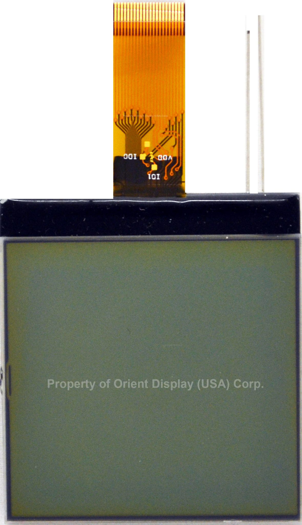 AMG128128PR-G-W12WFDW (2.1